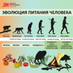 human diet evolution