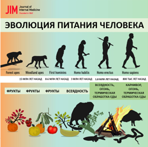 human diet evolution